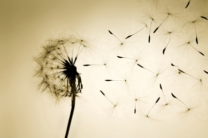 iStock_000002012954XSmall